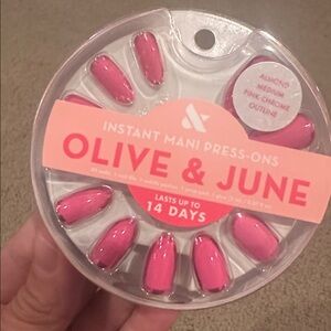 Olive & June Medium Almond Pink Chrome Outline Press-On Nails